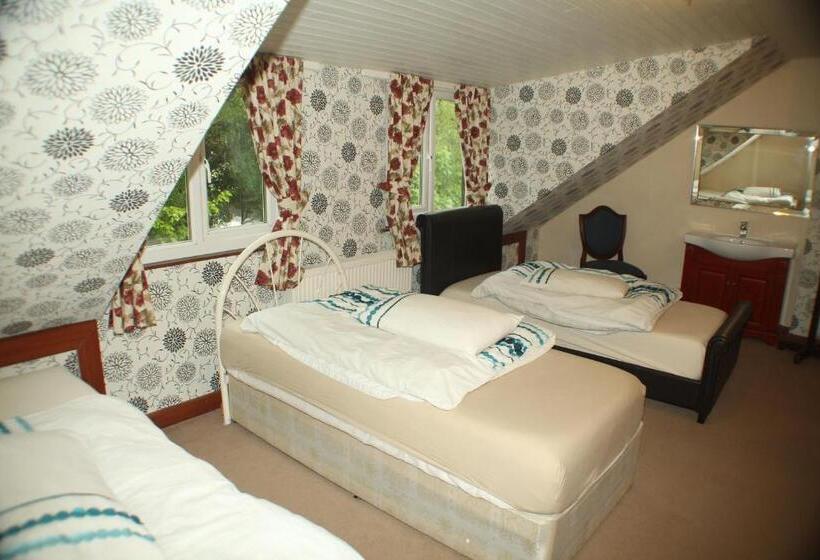 Lledr House Hostel Near Two Zip World Sites
