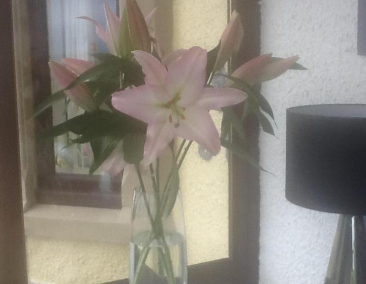 تختخواب و صبحانه Room Only At Wetherby Nairn