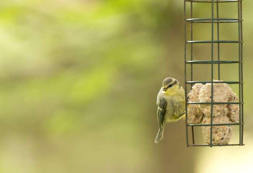 Yha Coniston Coppermines   Hostel