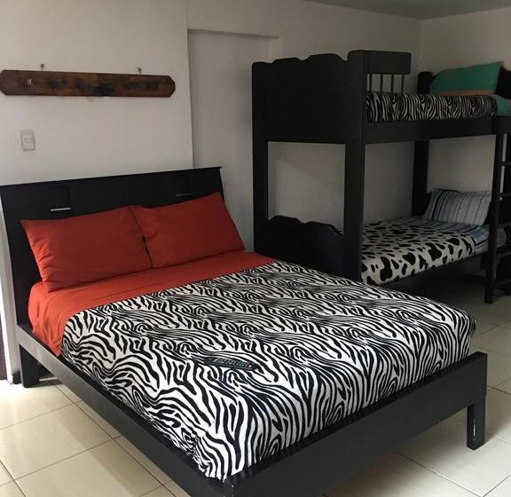 هاستل The Backpacker Hostal