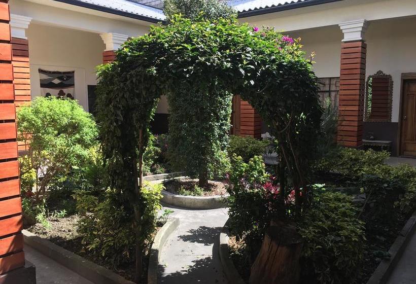 هاستل The Backpacker Hostal