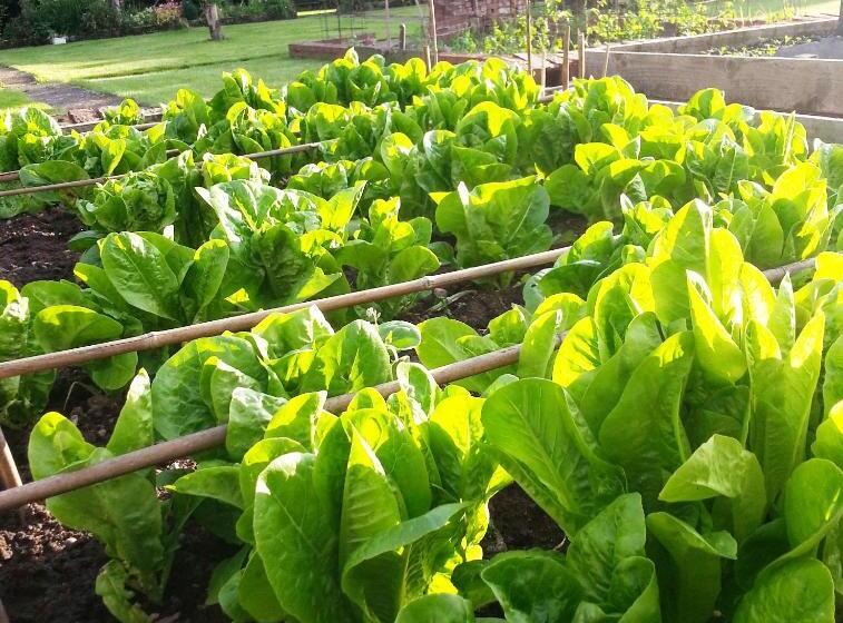 민박 Ternhill Farm House   5 Star Guest Accommodation With Optional Award Winning Breakfast