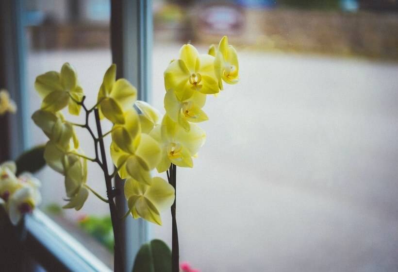 فندق Sunninghill