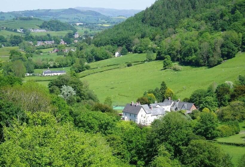 The Forest Country House B&b