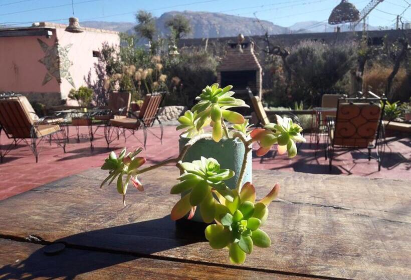 هاستل Hostal Rustyk