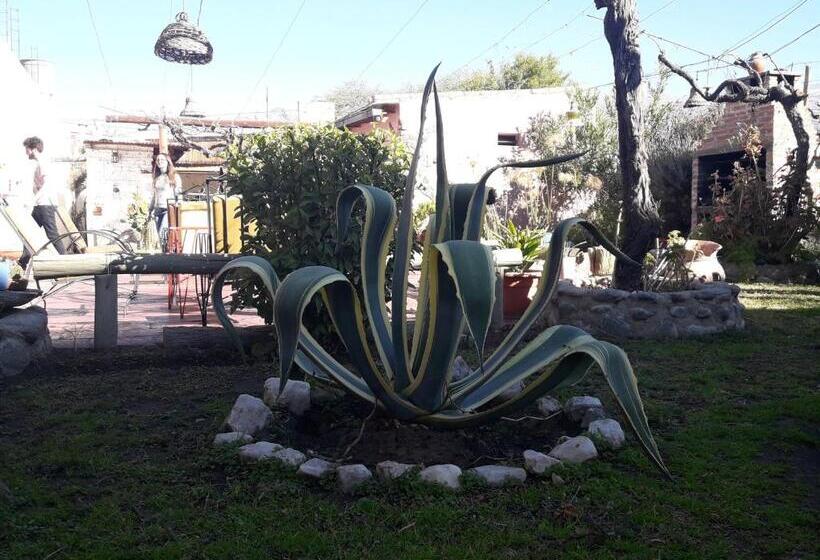 هاستل Hostal Rustyk