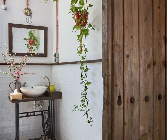 هاستل Rooms Vita