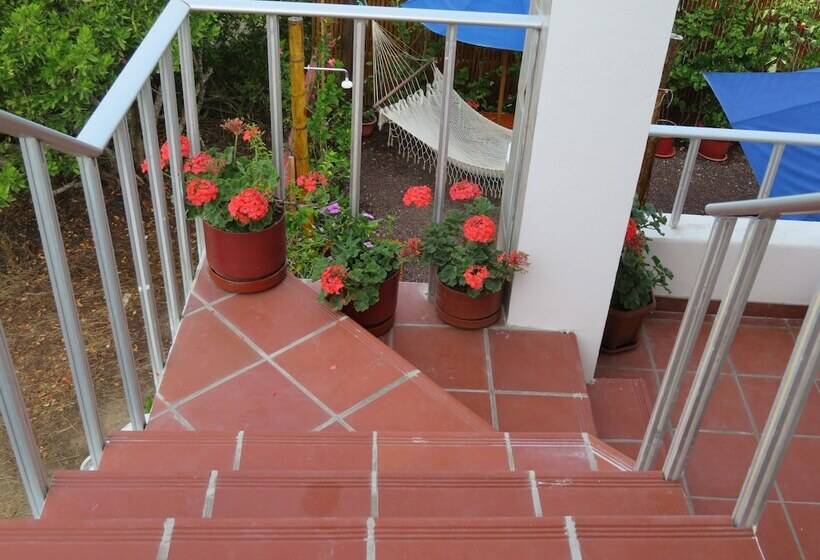 تختخواب و صبحانه Drake Inn