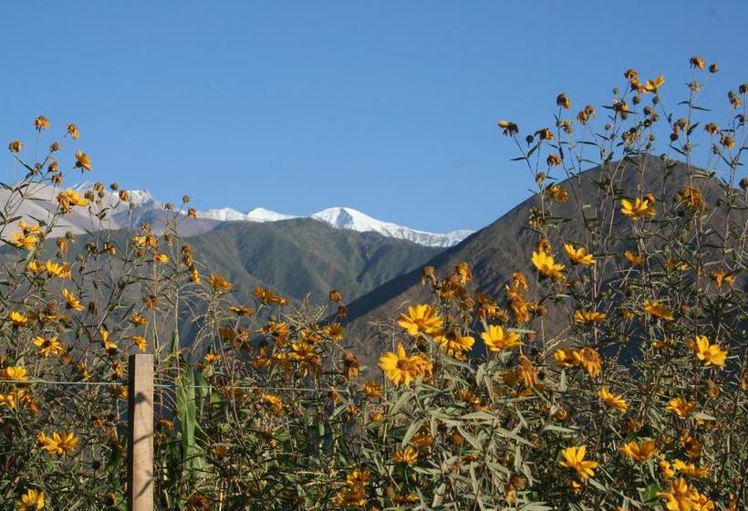 تختخواب و صبحانه Viracocha Art Hostel Cachi