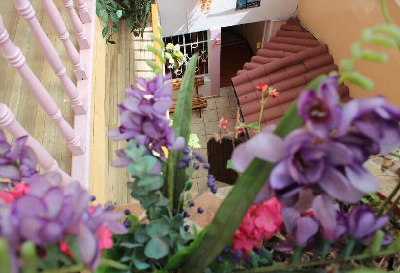 هتل Hostal Yumbo Imperial