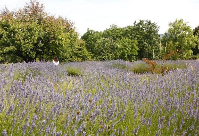 هاستل Huala Hosteria