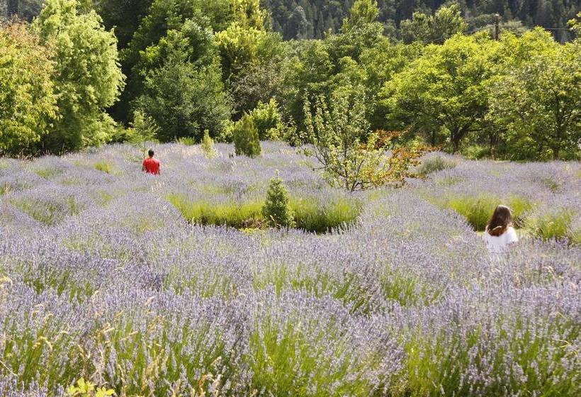 هاستل Huala Hosteria