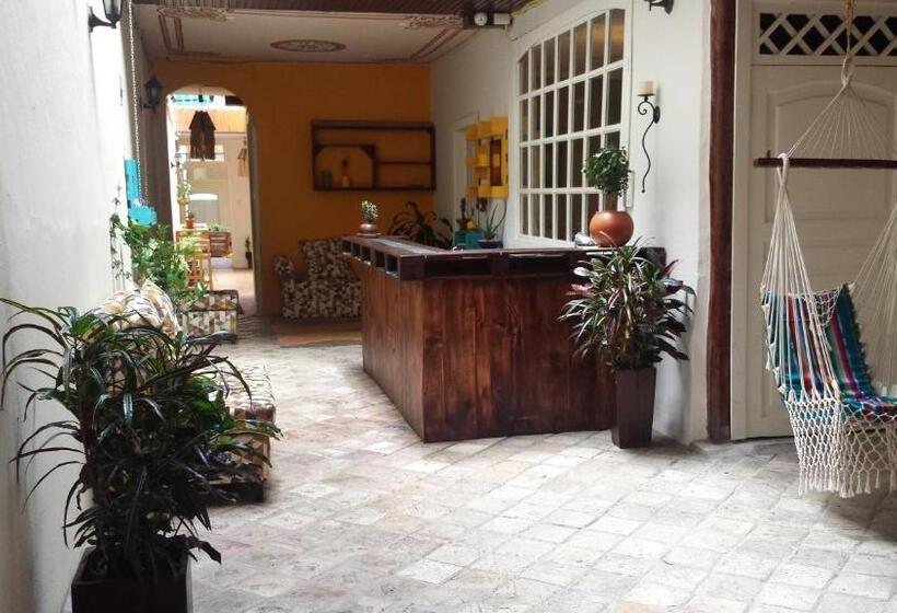 هاستل Hostal Mochiliers Bed And Breakfast