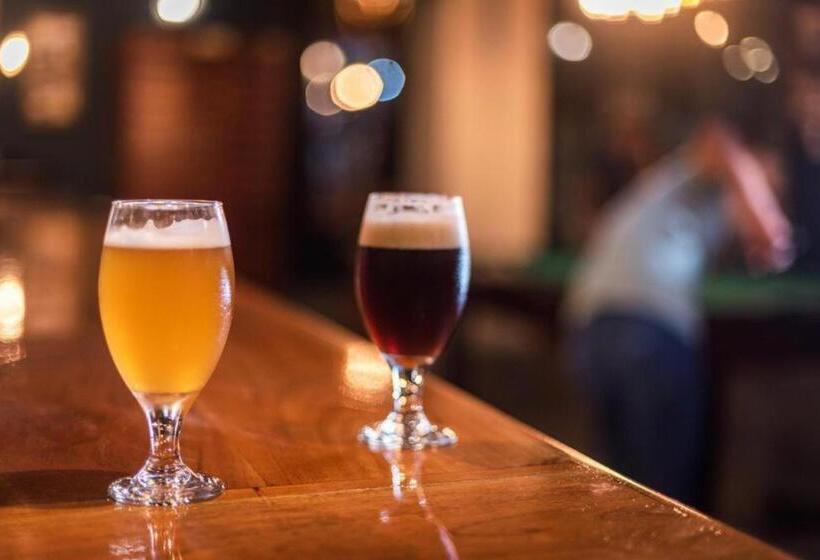 هاستل Galapagos Native