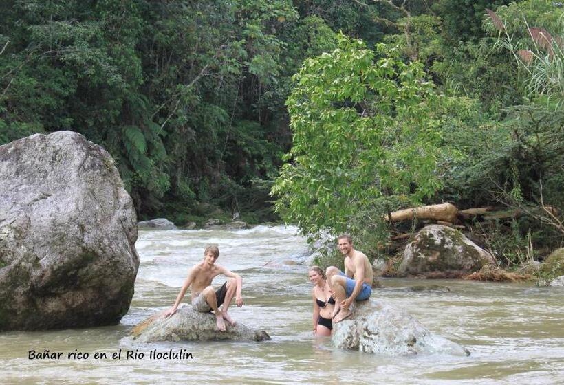 هاستل Hostal Tena ñaui