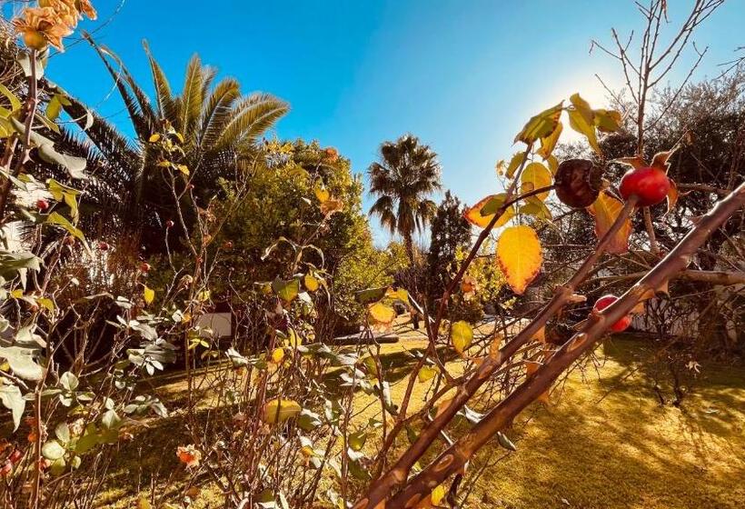 تختخواب و صبحانه Blue Sky Mendoza