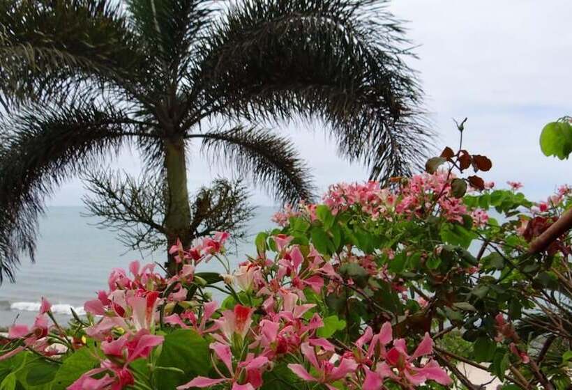 تختخواب و صبحانه Boutique Playa Canela Ecuador