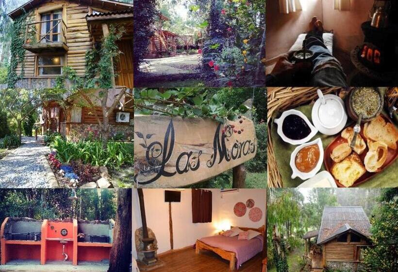 تختخواب و صبحانه Cabañas Las Moras