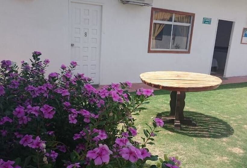 تختخواب و صبحانه Coral Blanco With High Speed Internet Starlink And Galapagos Tour Operator