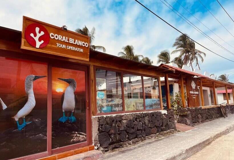تختخواب و صبحانه Coral Blanco With High Speed Internet Starlink And Galapagos Tour Operator