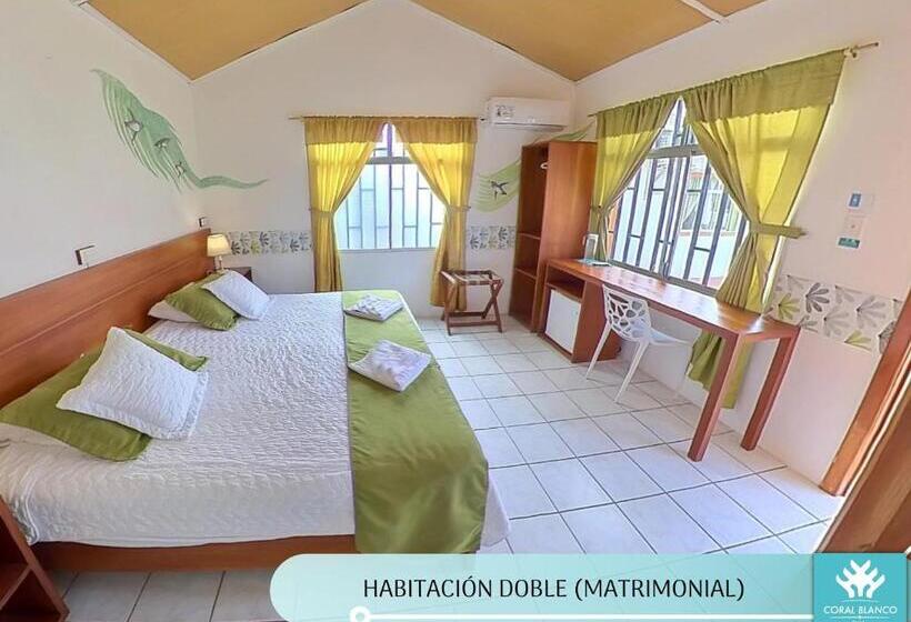 تختخواب و صبحانه Coral Blanco With High Speed Internet Starlink And Galapagos Tour Operator