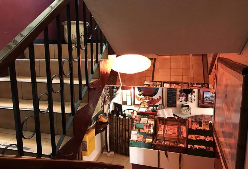 تختخواب و صبحانه Flying Donkey