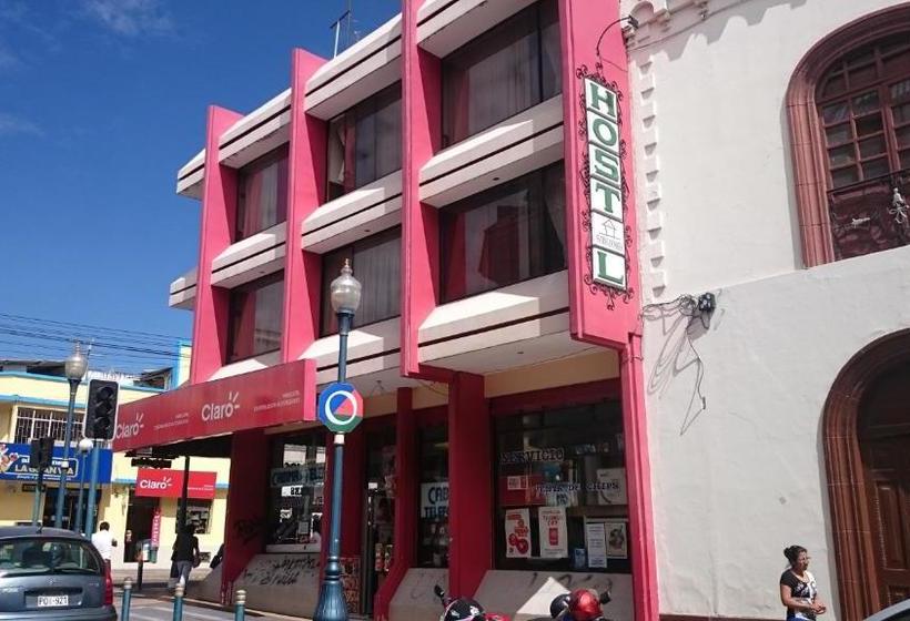 تختخواب و صبحانه Flying Donkey