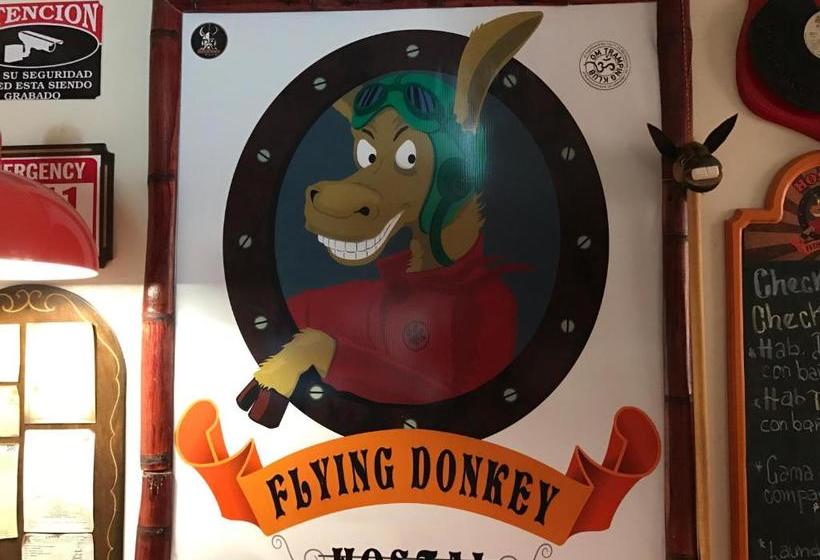 تختخواب و صبحانه Flying Donkey