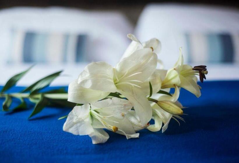 تختخواب و صبحانه Las Chirimoyas