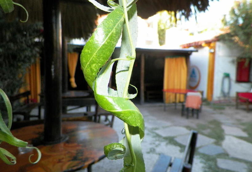 Hostel Mendoza Inn