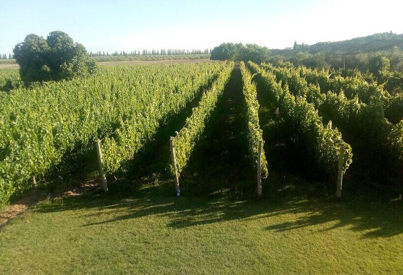 فندق Posada Cavieres Wine Farm