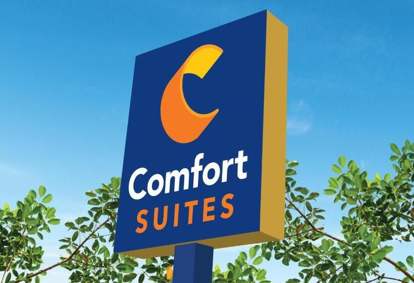 هتل Comfort Suites Gatlinburg Downtown Convention Center