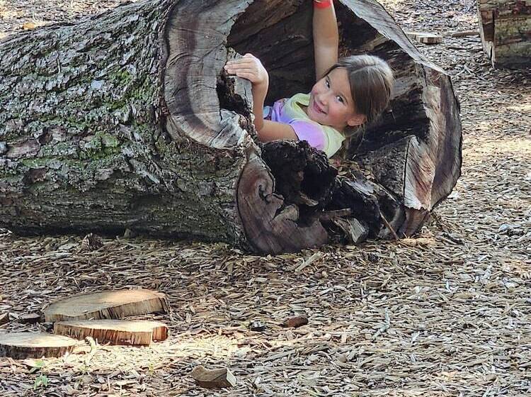 بنسيون Sycamore Springs