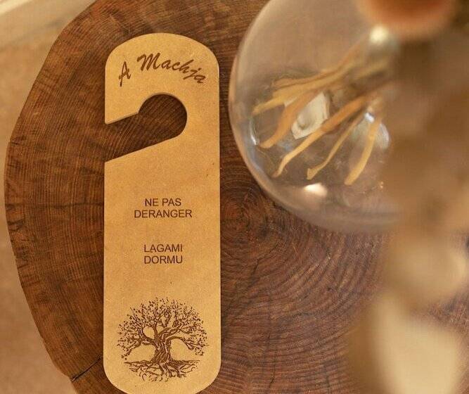 בית מלון כפרי Domaine Machja
