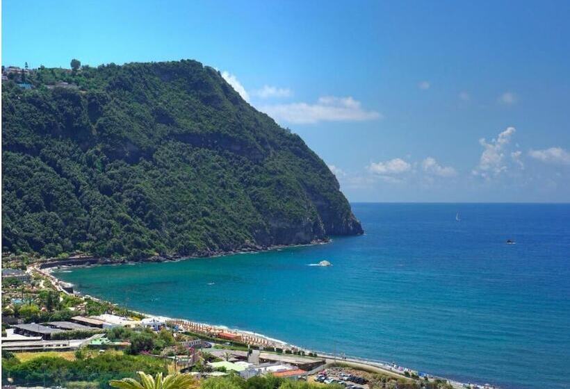 펜션 Room In B&b   Standard Double Or Twin Room In Ischia Per 2 People