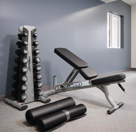 Stayapt Suites College Station