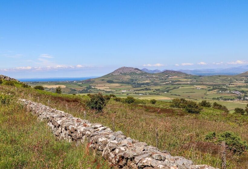 Tan Y Fynwent