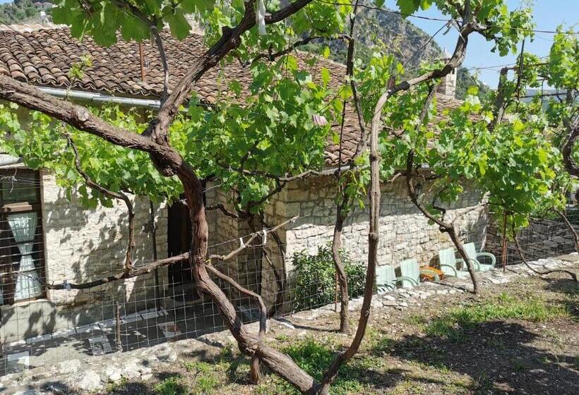 Guesthouse & Hostel Lorenc