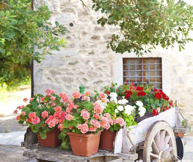 فندق Agriturismo Tenuta Armaiolo