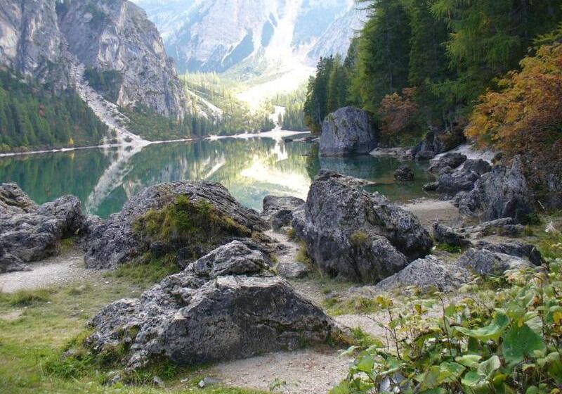Отель Chalet Olympia