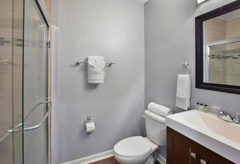 בית מלון כפרי Chicago West Loop