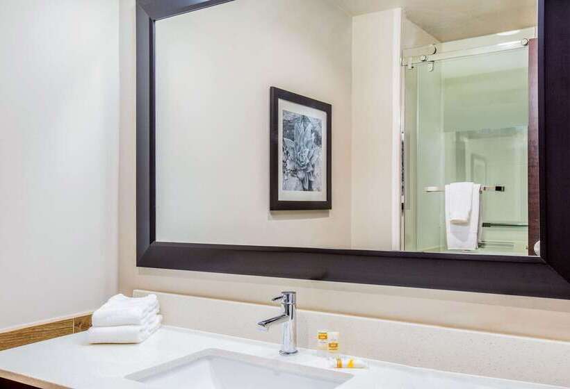 هتل La Quinta By Wyndham Mcallen Convention Center