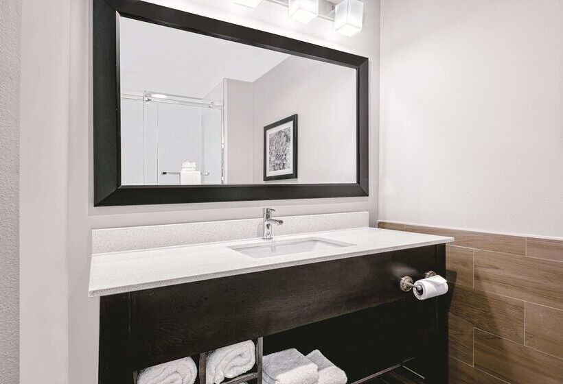 هتل La Quinta By Wyndham Mcallen Convention Center