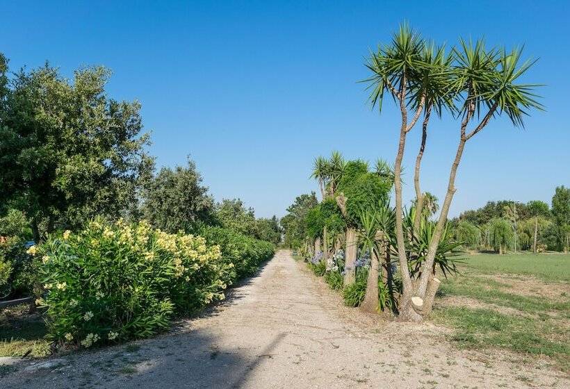Отель Masseria Mazzetta Salento Corte Del Falconiere B&b