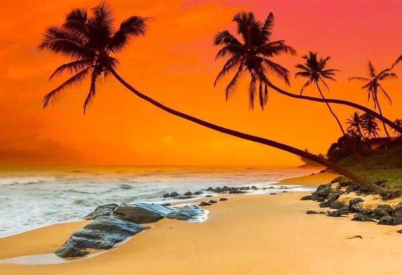 ホテル Ji  Sanya Bay