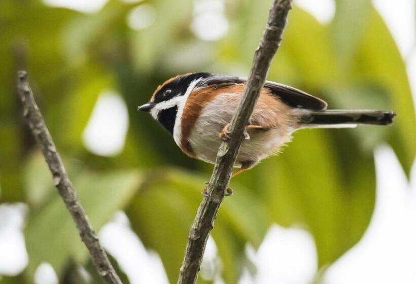 בית מלון כפרי Carp Islet Resort Fuzhou