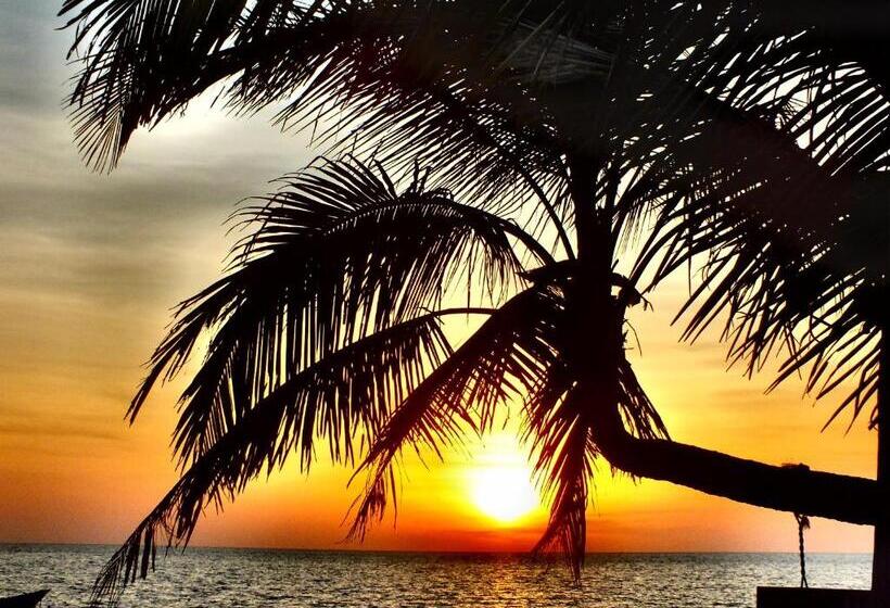 ホテル C&n Kho Khao Beach Resort   Sha Plus