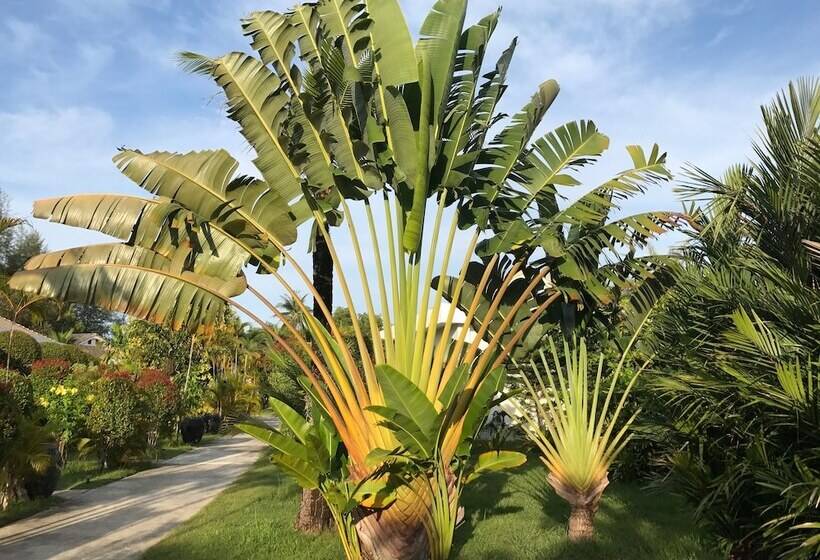 هتل Mango Beach Resort