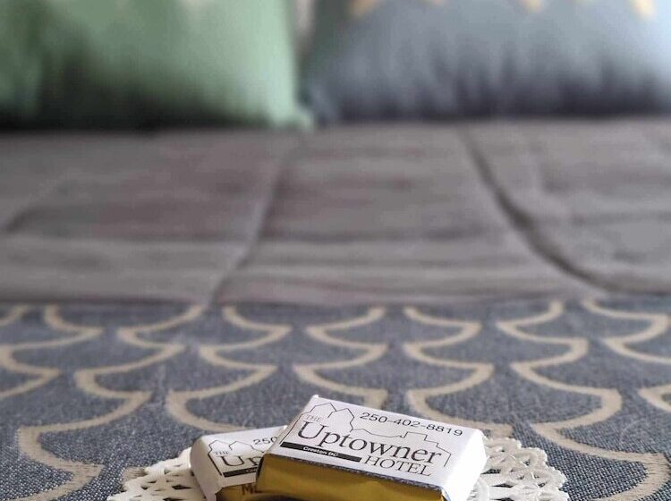 בית מלון כפרי Uptowner