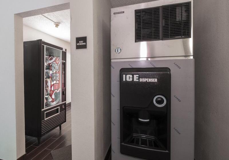 酒店 Red Roof Inn Dumfries  Quantico